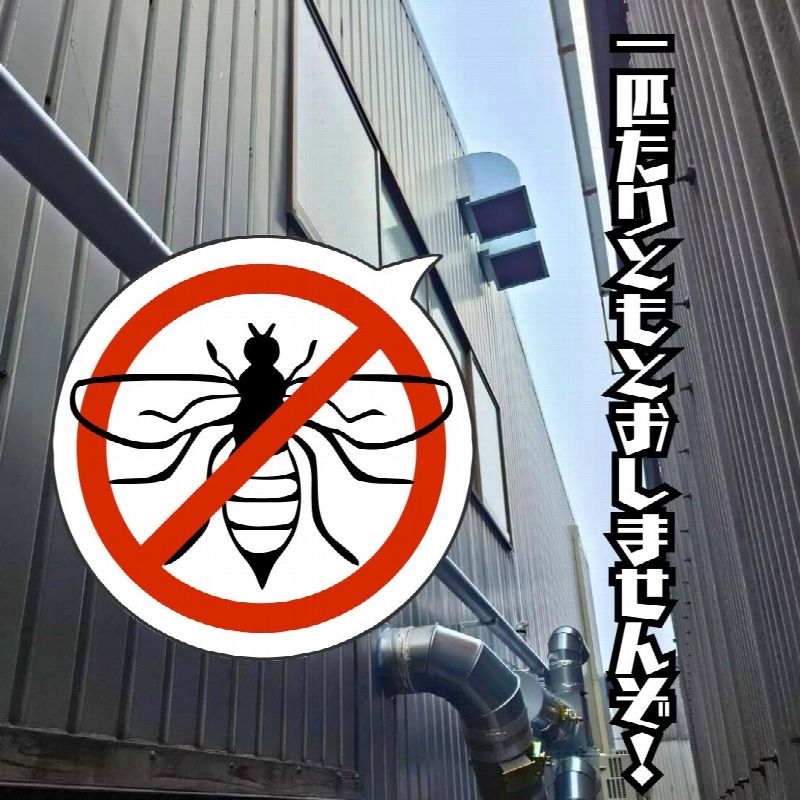 【製麺所】粉塵＆虫対策工事（写真12）